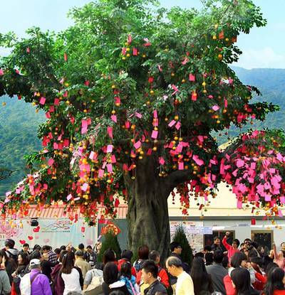 Lam Tsuen Wishing Trees